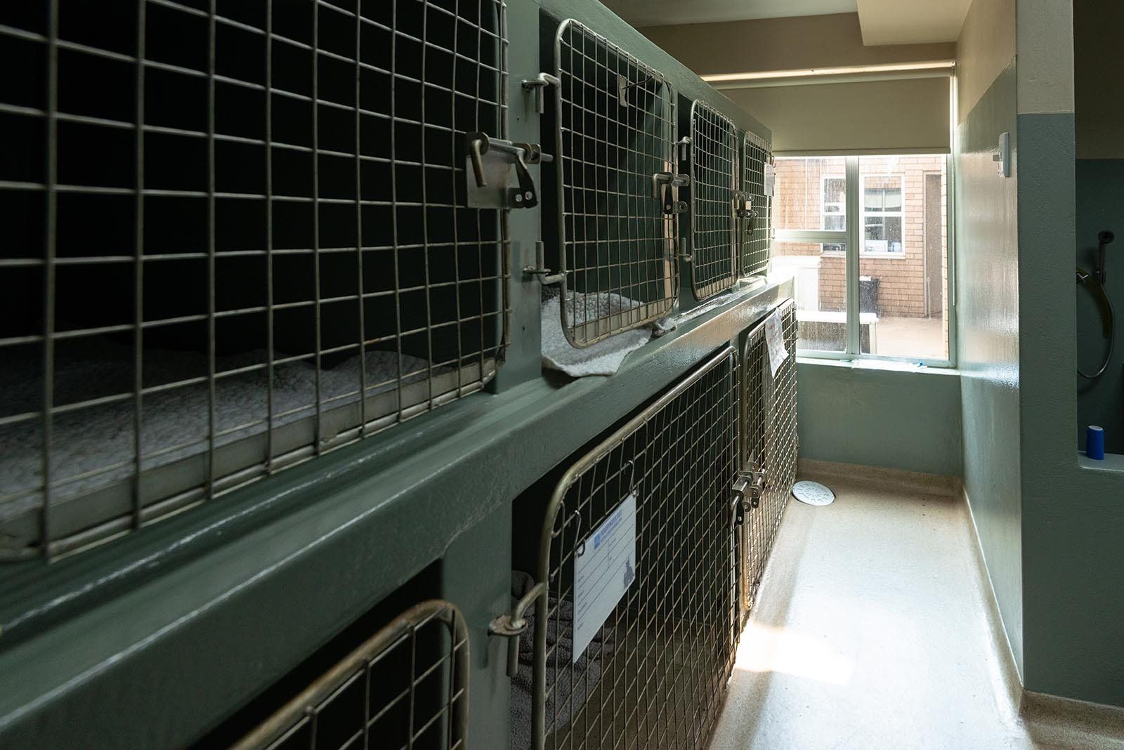 Isolation Ward