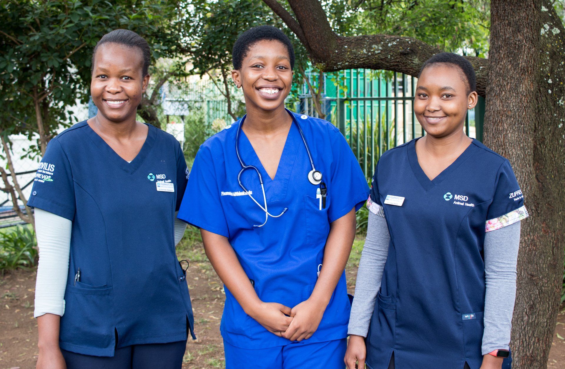 Generalist Veterinary Team